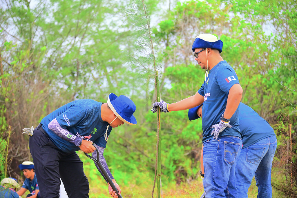 tree planting programme 2026 1